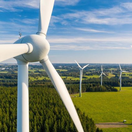Wind turbines in a field on Global Wind Day